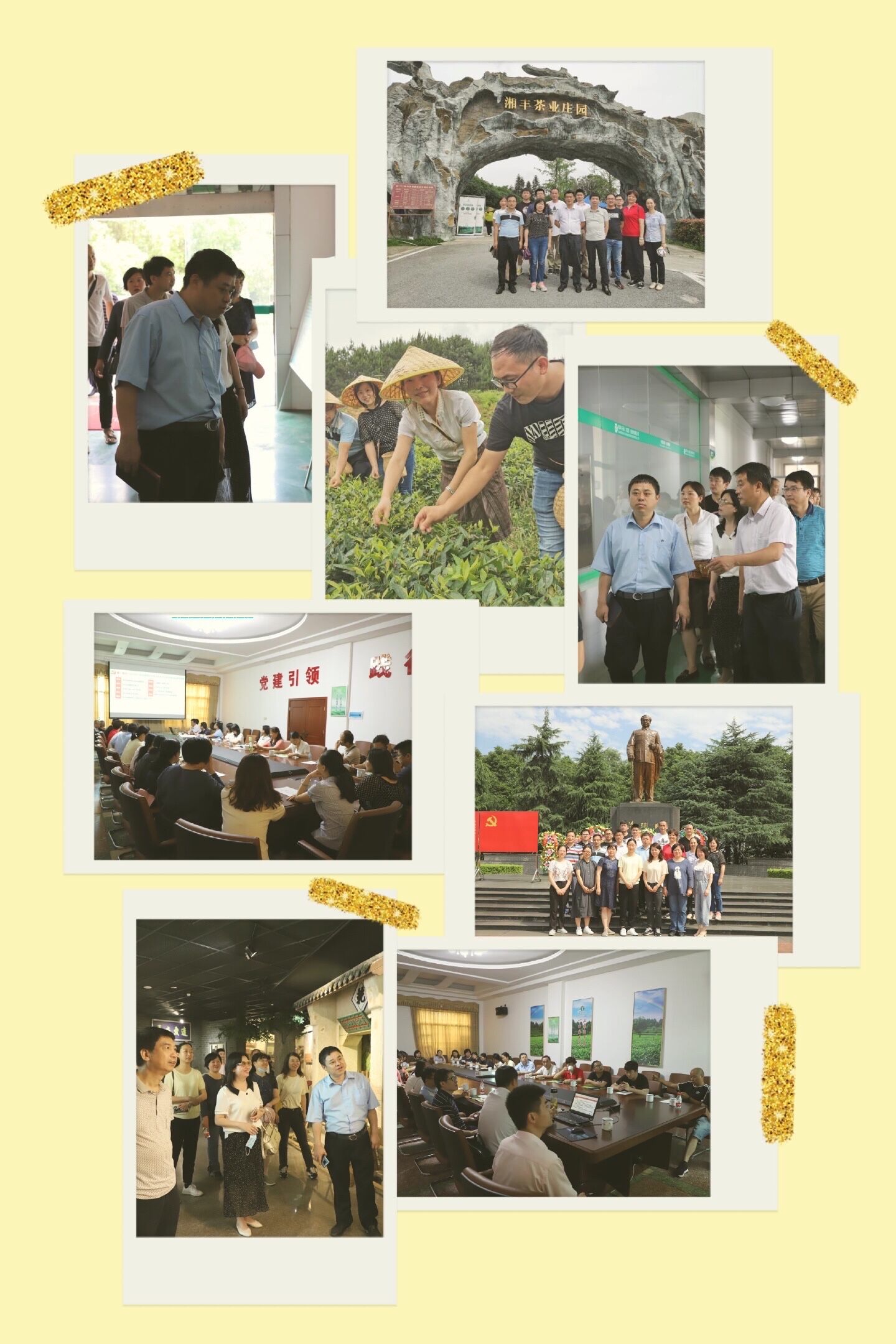 bv伟德国际体育官方网站