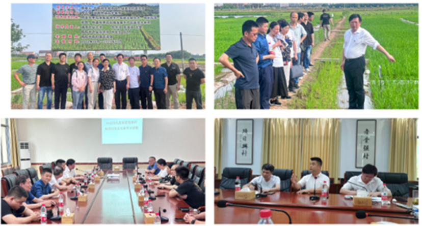 bv伟德国际体育官方网站