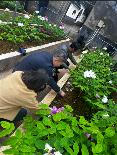 3d7360ed-43bb-42d9-8524-3d71836a5913.png bv伟德国际体育官方网站